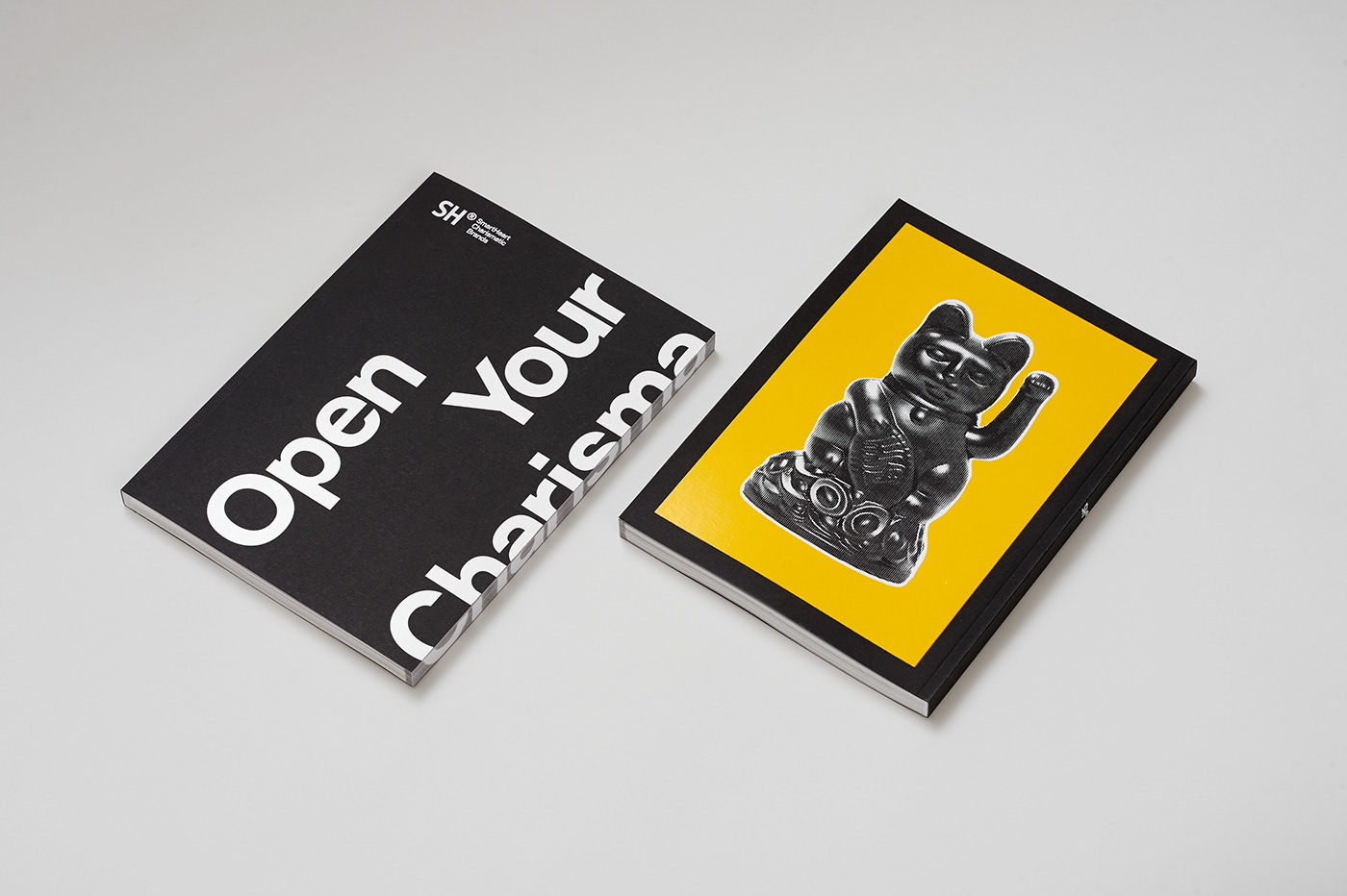 Charisma book
