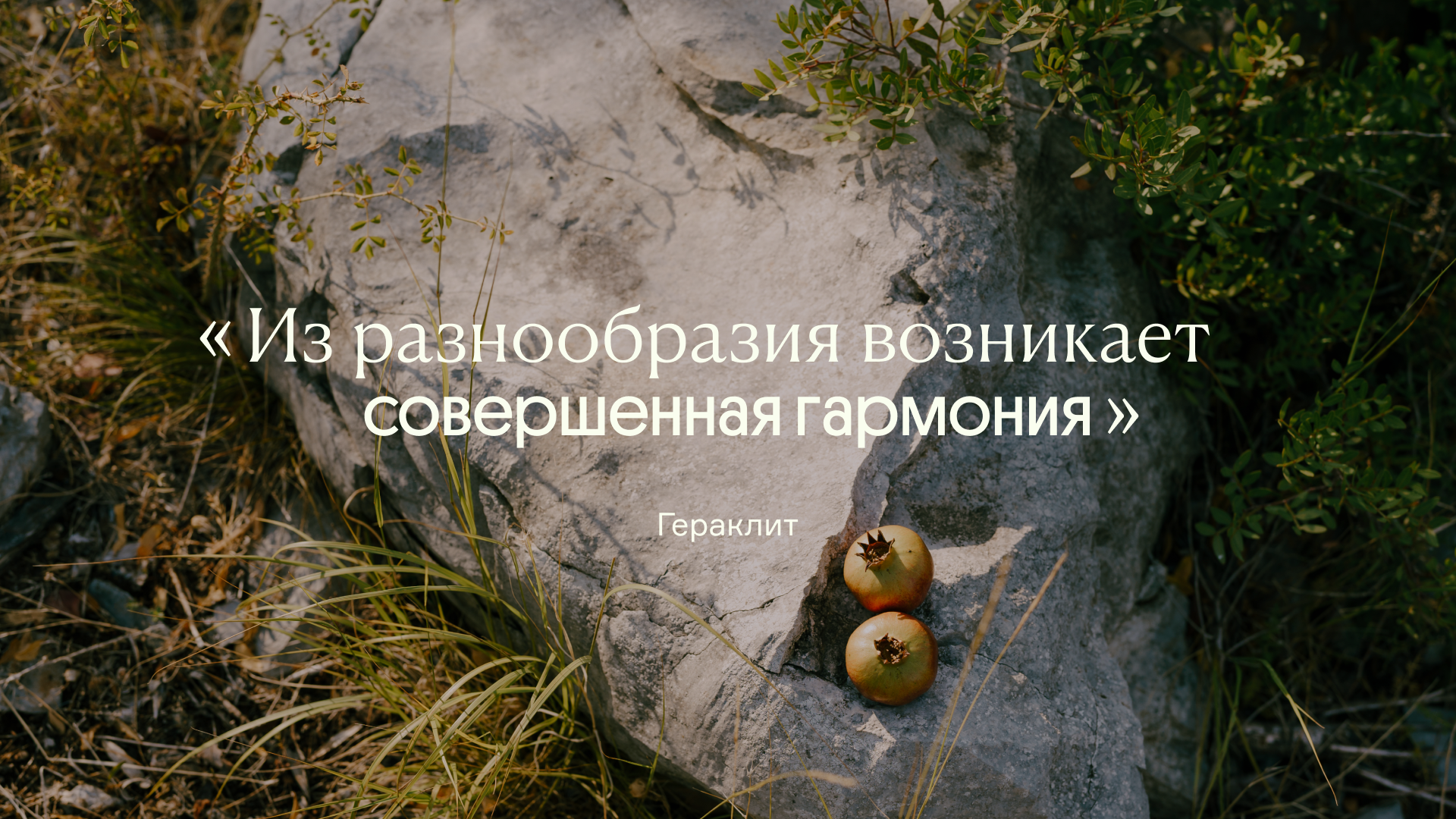 Фермаполис