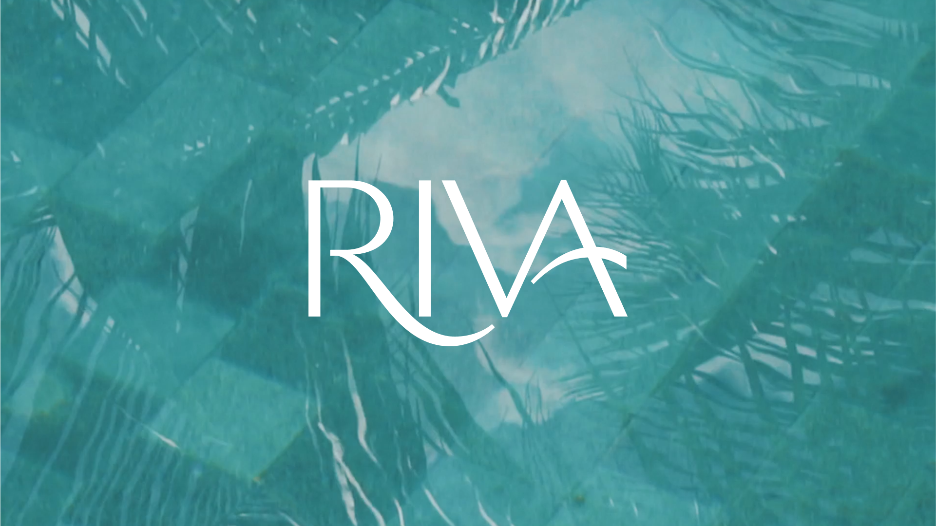 Dream Riva
