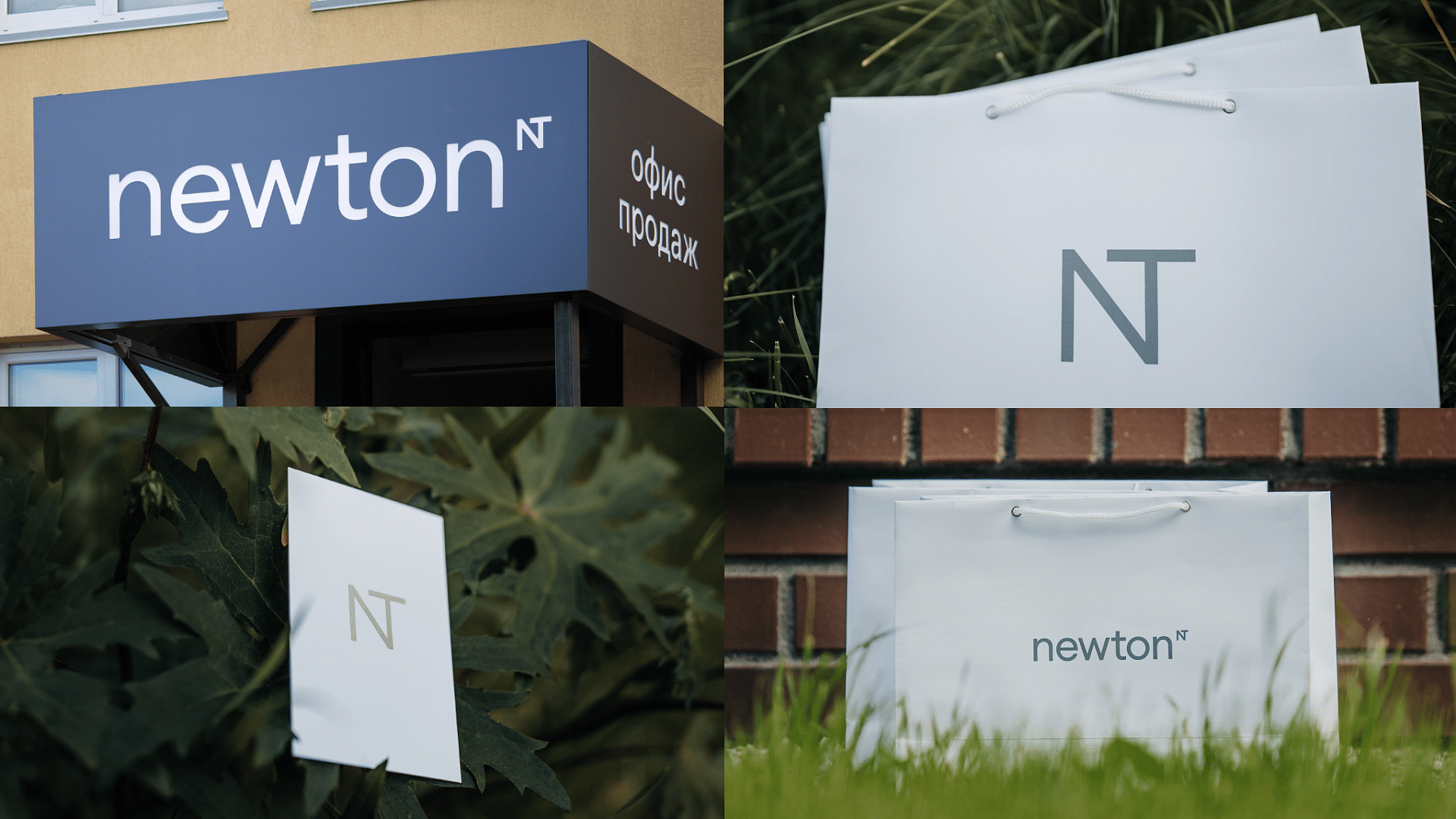 Newton