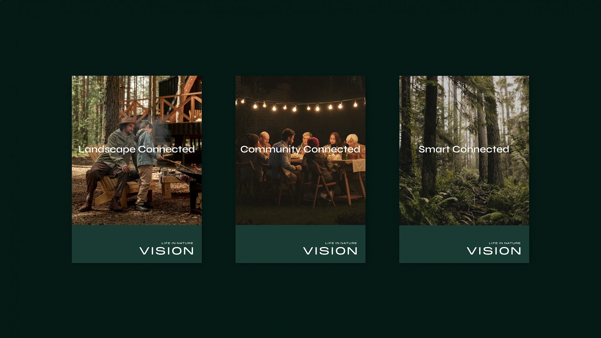 VISION