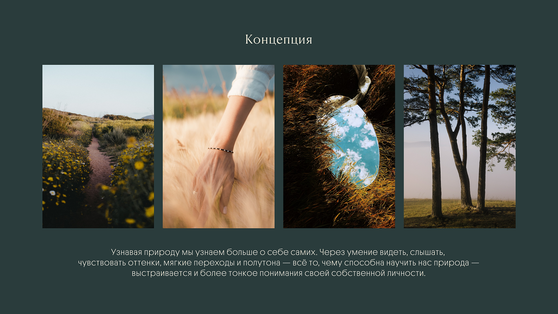 Фермаполис