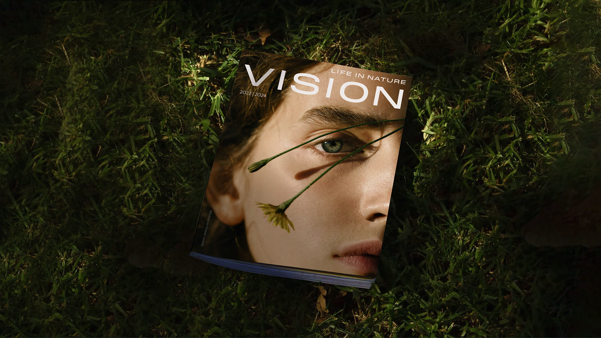 VISION